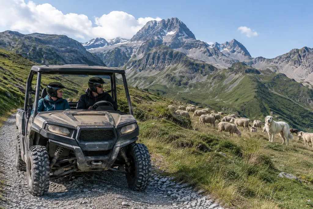 Un SSV roule au pas sur une piste d'altitude dans les Alpes, près d'un troupeau de moutons gardé par un chien de protection