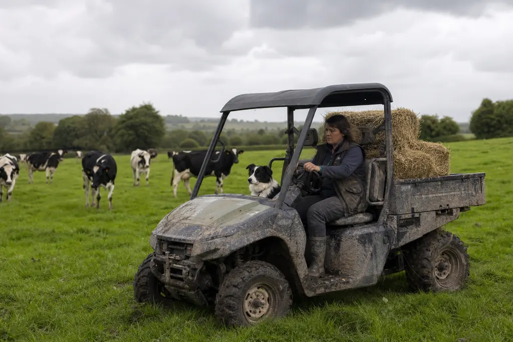 Une éleveuse transporte du foin avec un SSV utilitaire, son chien sur le siège passager